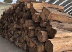 【進(jìn)口案例】非洲刺猬紫檀進(jìn)口清關(guān)手續(xù)介紹